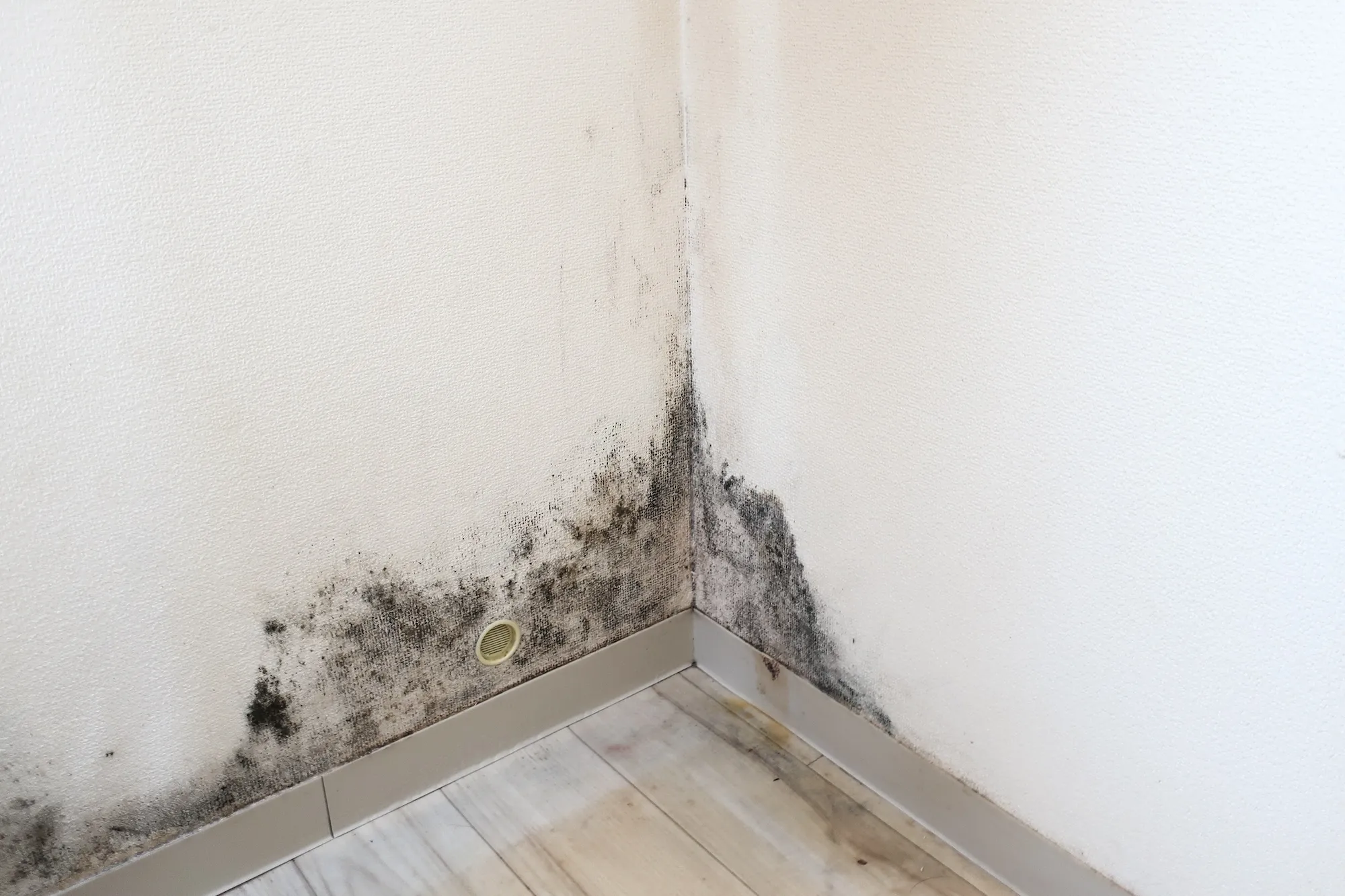 部屋の隅に発生した黒カビ