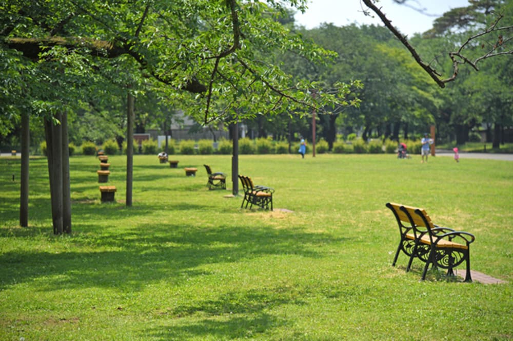 豊かな緑や遊び場が身近な街「花小金井」で暮らす