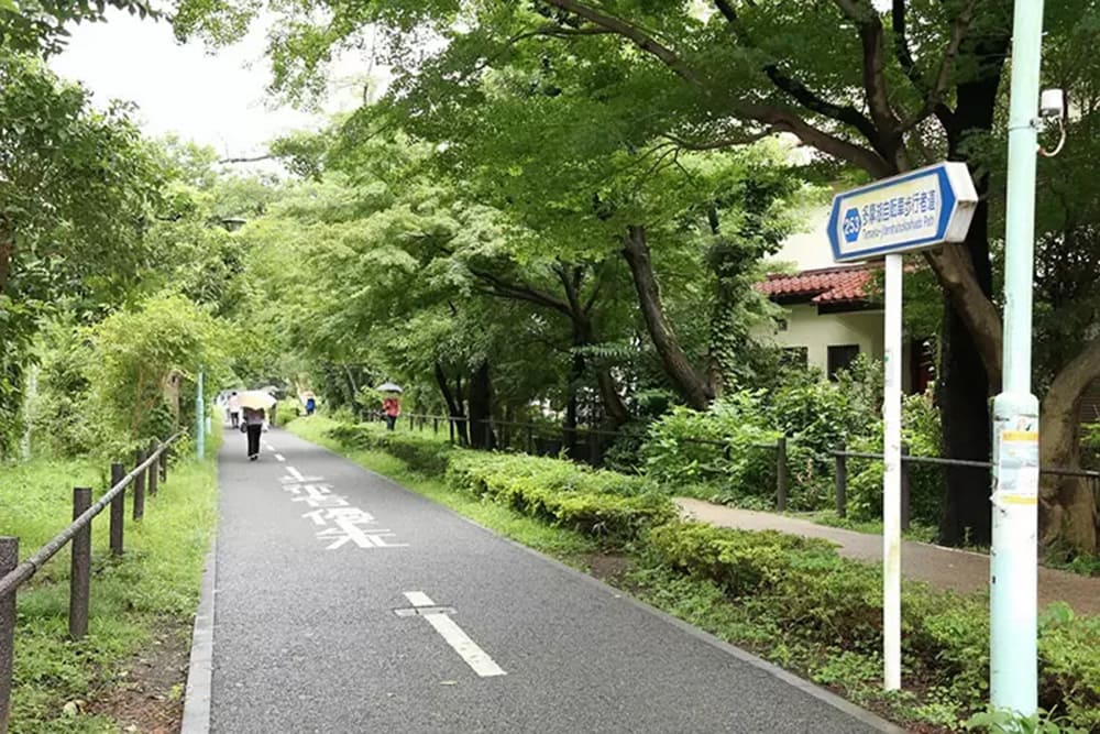 散歩道