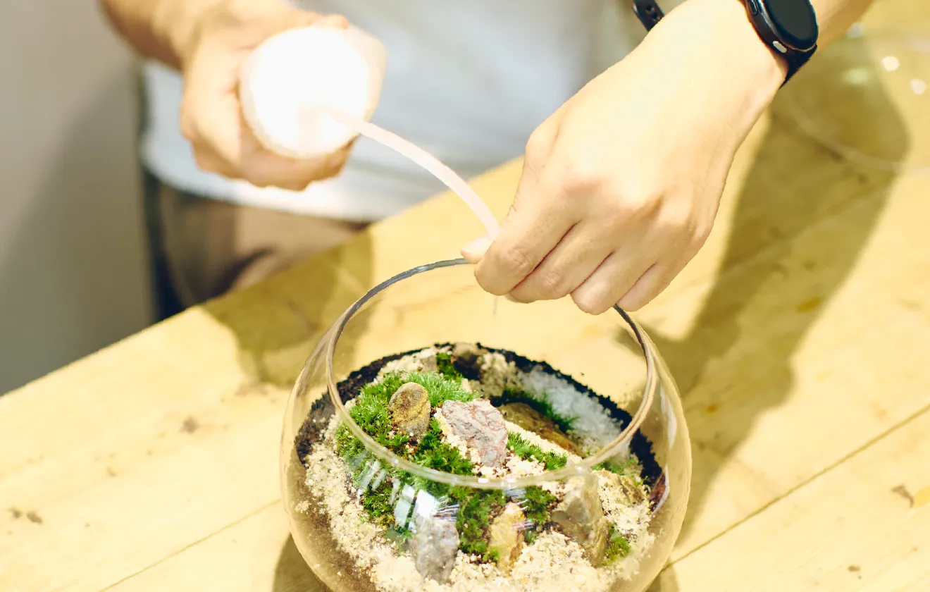 テラリウムの苔にスポイトで水を与える様子
