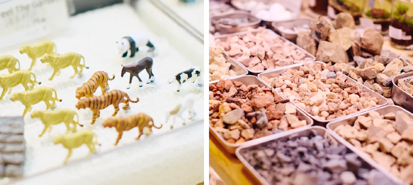 テラリウムに使う小さな動物フィギュアや石の素材が並ぶ店内