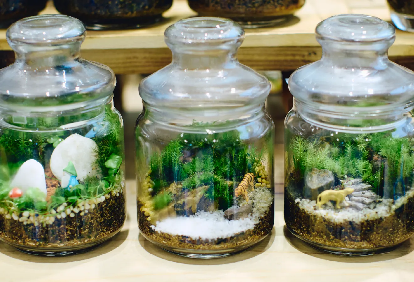 小瓶に入った3つのテラリウム。苔と白砂、動物フィギュアが配置されている
