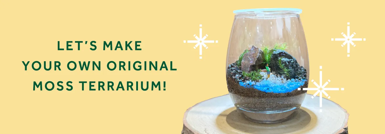 Let's make your own original moss terrarium!