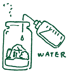 苔テラリウムに水を差すイラスト