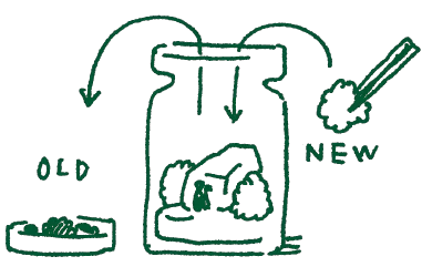 苔テラリウムをメンテナンスするイラスト