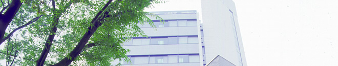 企業情報