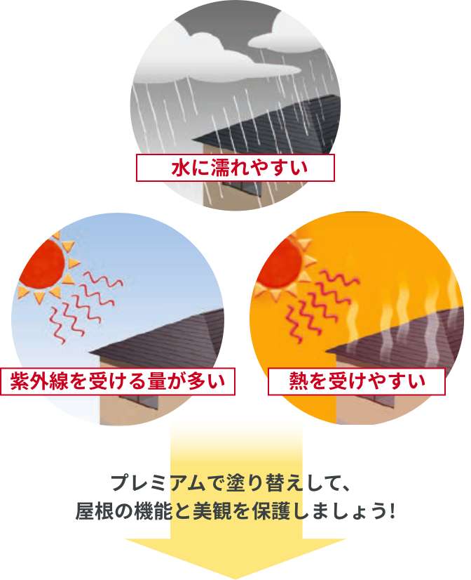 エスケープレミアムルーフSi