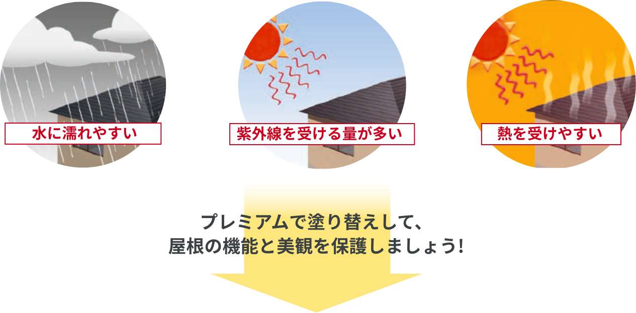 エスケープレミアムルーフSi