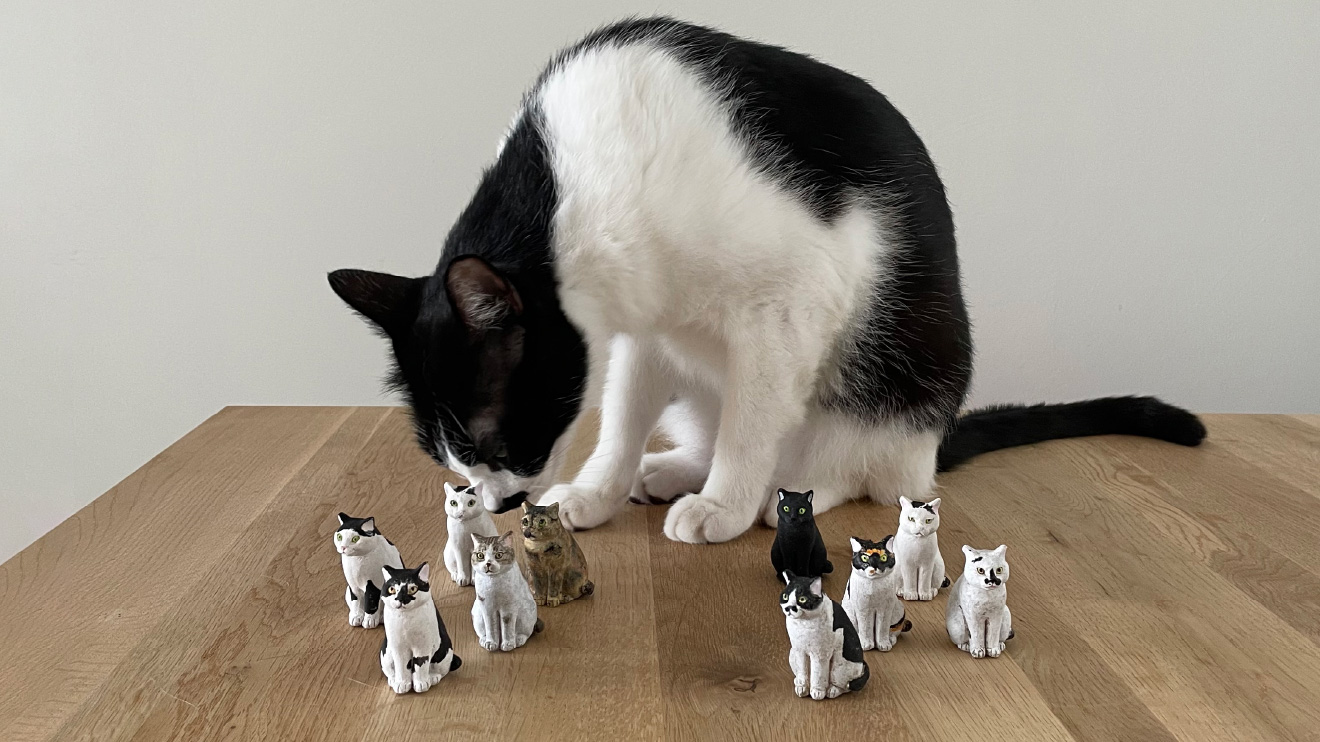 猫の置物と戯れる蘭丸