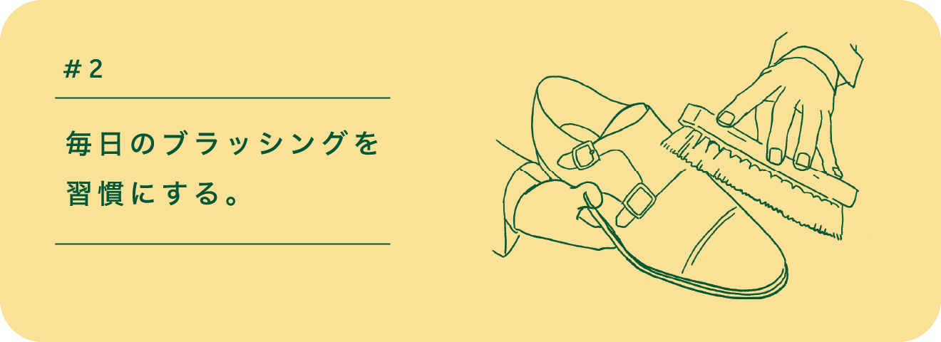 #2|毎日のブラッシングを習慣にする。