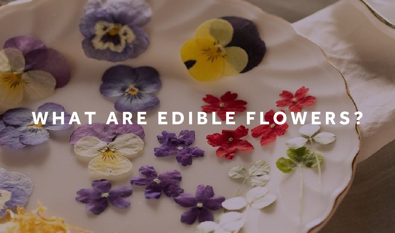 WHAT ARE EDIBLE FLOWERS?
